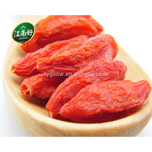 Ningxia goji orgánico goji bayas con un precio razonable